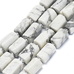 Howlite Natural Howlite Beads Strands, Nuggets, 11~14x6~8mm, Hole: 0.9mm, about 28~32pcs/strand, 15.75''(40cm)