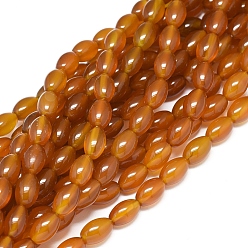 Natural Agate Natural Agate Beads Strands, Dyed & Heated, Rice, 11.5~12x7.5~8mm, Hole: 0.7mm, about 33 pcs/Strand, 15.55 inch(39.5 cm)