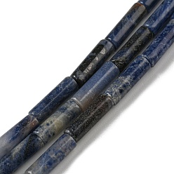 Содалитовое Природный содалит бисер нитей, колонка, 10~14x4.3~4.6 мм, отверстие : 0.9 мм, около 28 шт / нитка, 14.96~15.20 дюйм (38~38.6 см)