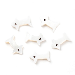 Blanc Perles de coquillages naturels d'eau douce, chien, blanc, 9x13.5x4.5mm, Trou: 1mm
