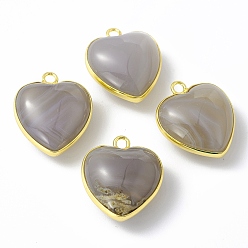 Серый агат Подвески из натурального серого агата, с латунной фурнитурой золотого цвета, сердце прелести, 18~19x15~17x7~10 мм, отверстие : 2 мм