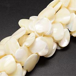 Ivoire Brins de perles de coquille de trochid / trochus shell, cœur, blanc crème, 18~19x18~19x4~6mm, Trou: 1mm, Environ 21 pcs/chapelet, 15.35 pouce