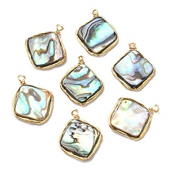 Real 14K Gold Plated Natural Abalone Shell/Paua Shell Pendants, Copper Wire Wrapped Rhombus Charms, Real 14K Gold Plated, 19.5~20x17x3.5mm, Hole: 1.5mm
