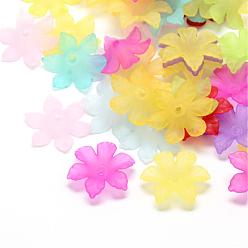 Mixed Color Transparent Acrylic Beads, Flower, Frosted, 6-Petal, Mixed Color, 26x23x6mm, Hole: 2mm, about 790pcs/500g