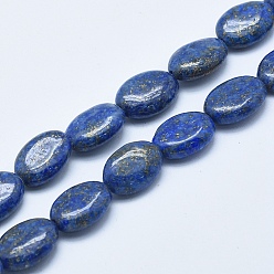 Lapis Lazuli Lapis-lazuli, brins de perles naturels , ovale, 13~14x10~10.5x5~6mm, Trou: 1mm, Environ 29 pcs/chapelet, 15.5 pouce (39.5 cm)