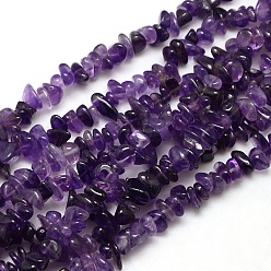 Amethyst Natural Amethyst Chips Beads Strands, 8~14x4~8x3~6mm, Hole: 1mm, about 15~16 inch