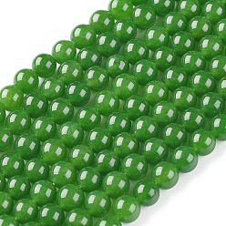 Jade Qinghai Qinghai naturel perles rondes de jade brins, teint, 8mm, Trou: 1mm, Environ 50 pcs/chapelet, 15~16 pouce