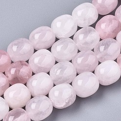 Розовый Кварц Природного розового кварца нитей бисера, баррель, 13x12 мм, отверстие : 1.2 мм, около 24 шт / нитка, 12.60 дюйм (32 см)