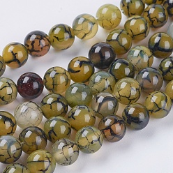 Agate Veine De Dragon Chapelets de perles en agate veines de dragon naturelles , teint, ronde, olive, 6mm, Trou: 1mm