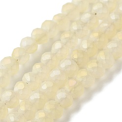 Jaune Champagne Perles de verre rondelles facettées plaquées arc-en-ciel, givré, jaune champagne, 4x3mm, Trou: 1mm, Environ 146 pcs/chapelet, 18.8 pouce