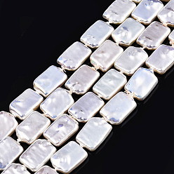 Light Goldenrod Yellow ABS Plastic Imitation Pearl Beads Strands, AB Color Plated, Rectangle, Light Goldenrod Yellow, 17x9x4mm, Hole: 0.7mm, about 24pcs/strand, 16.14 inch(41cm)
