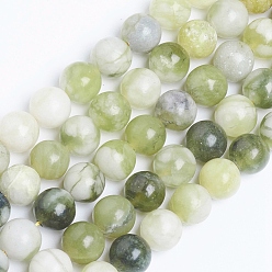 Autres Jades Brins de perles de jade qinghua naturel, ronde, 8mm, Trou: 1mm, Environ 50 pcs/chapelet, 14.96 pouce (38 cm)