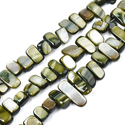 Vert Olive Foncé Brins de perles de coquille de trochid / trochus shell, teint, rectangle, vert olive foncé, 6~11x6~36x1~7mm, Trou: 1mm, Environ 45~55 pcs/chapelet, 14.96 pouces~15.35 pouces (38cm~39cm)