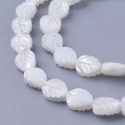 Other Sea Shell Shell Beads Strands, Leaf, 8~8.2x6.2~6.6x3~3.6mm, Hole: 0.7mm, about 49pcs/strand, 15.94 inch(40.5cm)