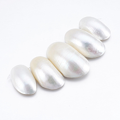 Coquillage Blanc Perles naturelles de coquillages blancs, brins de perles en nacre, ovale, 35~50x20~28x11~17mm, Trou: 0.8mm, Environ 5 pcs/chapelet, 4.33 pouce (11 cm)