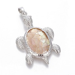 Pink Shell Pink Shell Pendants, with Brass Findings, Sea Turtle, Platinum, 49x31.5x5.5mm, Hole: 8x5mm