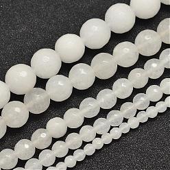White Natural Malaysia Jade Bead Strands, Imitation White Jade, Round, Dyed, Faceted, White, 6mm, Hole: 0.8mm, about 63pcs/strand, 14.5 inch