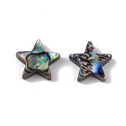 Colorful Natural Abalone Shell/Paua Shell Beads, Star, Colorful, 12.5x12.5x3.5mm, Hole: 0.9mm