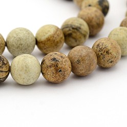 Jaspe Image Naturelle jaspe d'image rangées de perles rondes, 8mm, Trou: 1mm, Environ 49 pcs/chapelet, 15.7 pouce