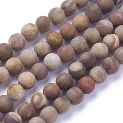 Pétrifié En Bois Naturelles pétrifiés perles de bois brins, givré, ronde, 6mm, Trou: 1mm, Environ 60~68 pcs/chapelet, 15 pouces ~ 15.27 pouces (38.2~38.8 cm)