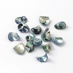 Bleu Nuit Perles de coquillage de mer naturelle, teint, bleu minuit, taille: environ 12~22 mm de long,  largeur de 10~22 mm, épaisseur de 2~4mm, Trou: 2mm, environ920 pcs / 500 g