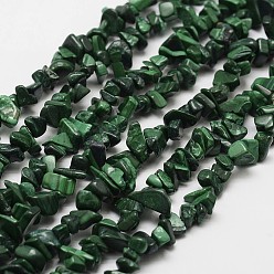 Темно-Зеленый Природного малахита бисер нитей, чип, темно-зеленый, 3~5x7~13x2~4 мм, отверстие : 0.4 мм, 32 дюйм
