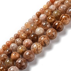 Flower Agate Natural Flower Agate Beads Strands, Round, 8~8.5mm, Hole: 0.8mm, about 47pcs/strand, 15.63''(39.7cm)