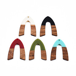 Mixed Color Opaque Resin & Walnut Wood Pendants, V Shape Charm, Mixed Color, 38x29x3mm, Hole: 2mm