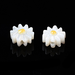 Or Perles de coquillages naturels d'eau douce, avec l'émail, fleur, or, 6x3mm, Trou: 0.9mm