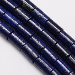 Ляпис-Лазурь Природные лазурит столбцов из бисера пряди, окрашенные, 10x6 мм, отверстие : 1 мм, около 38 шт / нитка, 15.5 дюйм