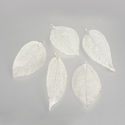 Plaqué Argent Grandes feuilles pendantes placées électrolytiques, avec les accessoires en fer, Plaqué Argent, 55~85x25~40x1mm, Trou: 3x6mm