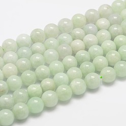 Myanmar Jade Natural Myanmar Jade/Burmese Jade Beads Strands, Round, 6mm, Hole: 0.8mm, about 61pcs/strand
