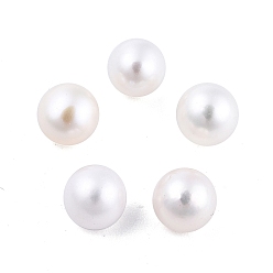 Floral White Natural Pearl Beads, No Hole/Undrilled, Round, Floral White, 6.5~7mm