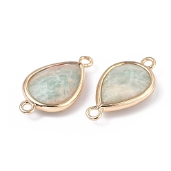 Amazonite Natural Amazonite Links connectors, with Golden Tone Brass Findings, Teardrop, 22x12x5mm, Hole: 1.6mm