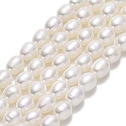 Linen Natural Cultured Freshwater Pearl Beads Strands, Rice, Linen, 6.5~7.5x5~5.5mm, Hole: 0.6mm, about 53pcs/strand, 14.17''(36cm)