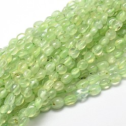 Prehnite Natural Prehnite Nuggets Beads Strands, Tumbled Stone, 5~10x6~7x3~7mm, hole: 1mm, about 14.9 inch~15.7 inch
