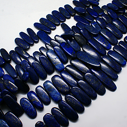 Lapis Lazuli Natural Gemstone Pendants Lapis Lazuli Graduated Beads Strands, Dark Blue, 20~45x14~23x5~10mm, Hole: 1mm, about 15.7 inch