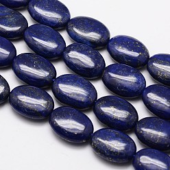 Lapis Lazuli Lapis lazuli naturelles brins ovales de perles, teint, 14x10x5mm, Trou: 1mm, Environ 28 pcs/chapelet, 15.3 pouce