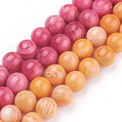 Couleur Mélangete Chapelets de perles de coquillage, ronde, teint, couleur mixte, 8mm, Trou: 0.8mm, Environ 50 pcs/chapelet, 15.9 pouce (40.5 cm)