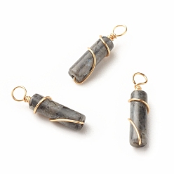 Labradorite Natural Larvikite Pendants, with Light Gold Tone Eco-Friendly Copper Wire Wrapped, Column, 20~21x5~5.5mm, Hole: 2.3~2.8mm