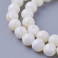 Autres Coquillages De Mer Chapelets de perles de coquillage, ronde, 8~8.2mm, Trou: 1mm, Environ 52 pcs/chapelet, 15.98 pouce (40.6 cm)