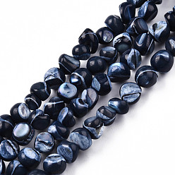 Bleu De Prusse Brins de perles de coquille de trochid / trochus shell, teint, nuggets, null, 7~12x5~10x4~8mm, Trou: 1mm, Environ 60~64 pcs/chapelet, 15.16 pouces ~ 15.75 pouces (38.5~40 cm)