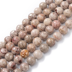 Chardon Brins de perles en pierre naturelle maifanite / maifan, teint, ronde, chardon, 8mm, Trou: 1.2mm, Environ 47 pcs/chapelet, 15.55'' (39.5 cm)