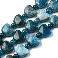 Apatite Natural Apatite Beads Strands, Apple, 9x10.5x5mm, Hole: 1mm, about 35pcs/strand, 15.47''~15.67'' (39.3~39.8cm)