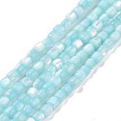 Sky Blue Natural Trochus Shell Beads Strands, Dyed, Column, Sky Blue, 3.5x3.5mm, Hole: 0.8mm, about 113pcs/strand, 15.59''(39.6cm)