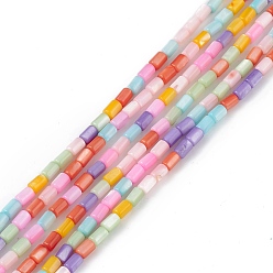 Colorful Natural Freshwater Shell Dyed Beads Strands, Column, Colorful, 4.8x3mm, Hole: 0.8mm, about 78pcs/strand, 14.96''(38cm)