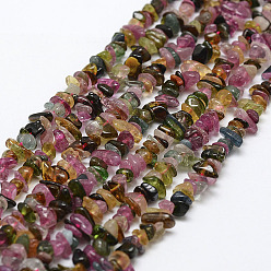 Coloré Tourmaline naturelle des perles brins, puce, Grade a, colorées, 4~13x3~13x1~4mm, Trou: 0.4mm, environ 32~32.5 pouce