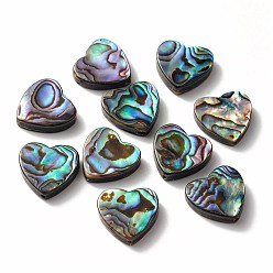 Coloré Perles coquille d'ormeau / coquille de paua, cœur, colorées, 14x14x4mm, Trou: 1.2mm