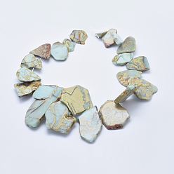 Light Blue Natural Imperial Jasper Beads Strands, Flat Slab Beads, Dyed, Nuggets, Light Blue, 16~65x12~50x4~8mm, Hole: 1~1.5mm, about 16~20pcs/strand, 15.35 inch~16.14 inch(39~41cm)