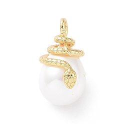 Real 18K Gold Plated Shell Pearl Pendants, with Brass Findings, Cadmium Free & Lead Free, Long-Lasting Plated, Teardrop with Snake Charm, Real 18K Gold Plated, 25x14x16mm, Hole: 4x3mm